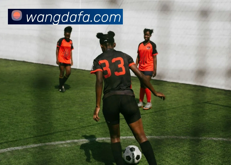 App Interface Preview