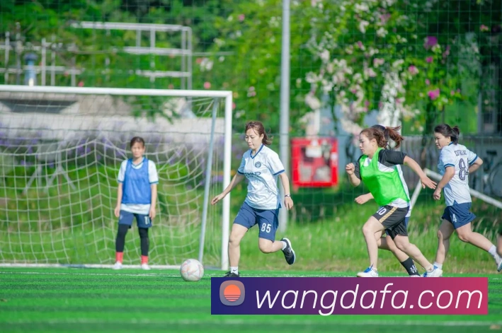 数据防护可视化